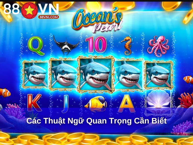 Các thuật ngữ quan trọng cần biết