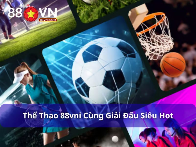 Giới thiệu sảnh thể thao 88vni