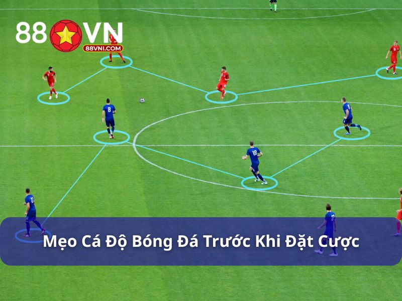 Mẹo cá độ bóng đá giúp tăng tỉ lệ thắng