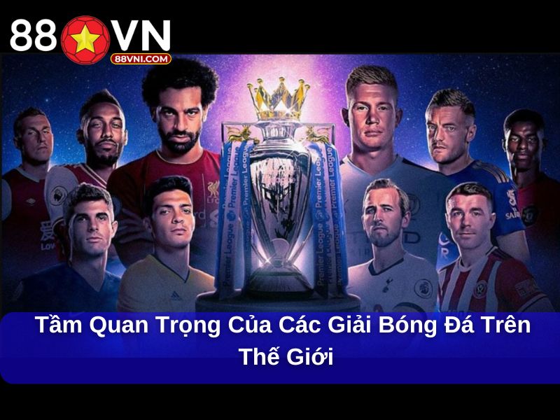 Khám Phá Tất Tần Tật Các Giải Bóng Đá Trên Thế Giới Tầm quan trọng của các giải bóng đá trên thế giới