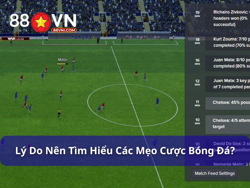 Tìm hiểu cách cá độ bóng đá quan trọng