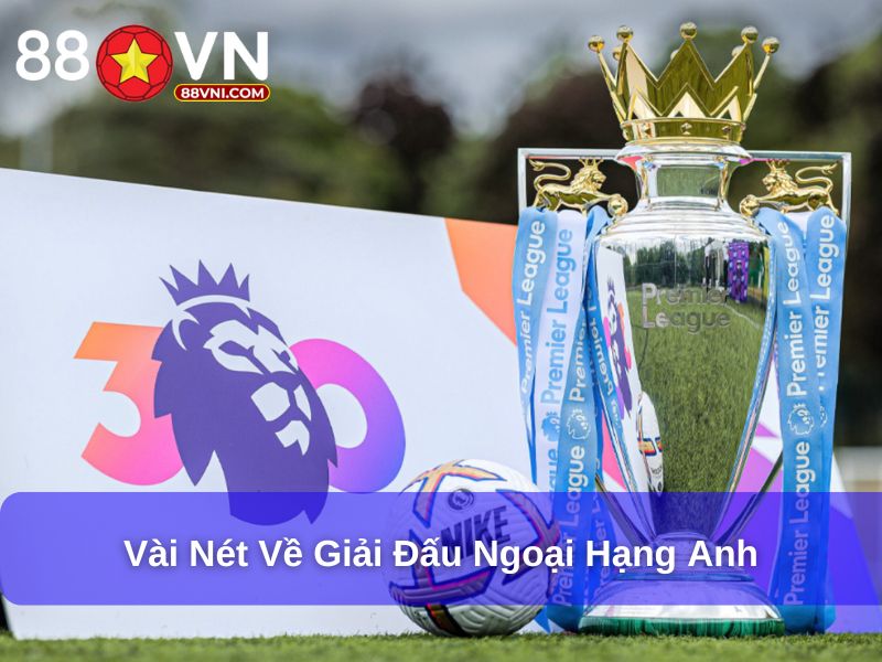 Khám Phá Tất Tần Tật Các Giải Bóng Đá Trên Thế Giới Vài nét về giải đấu Ngoại hạng Anh